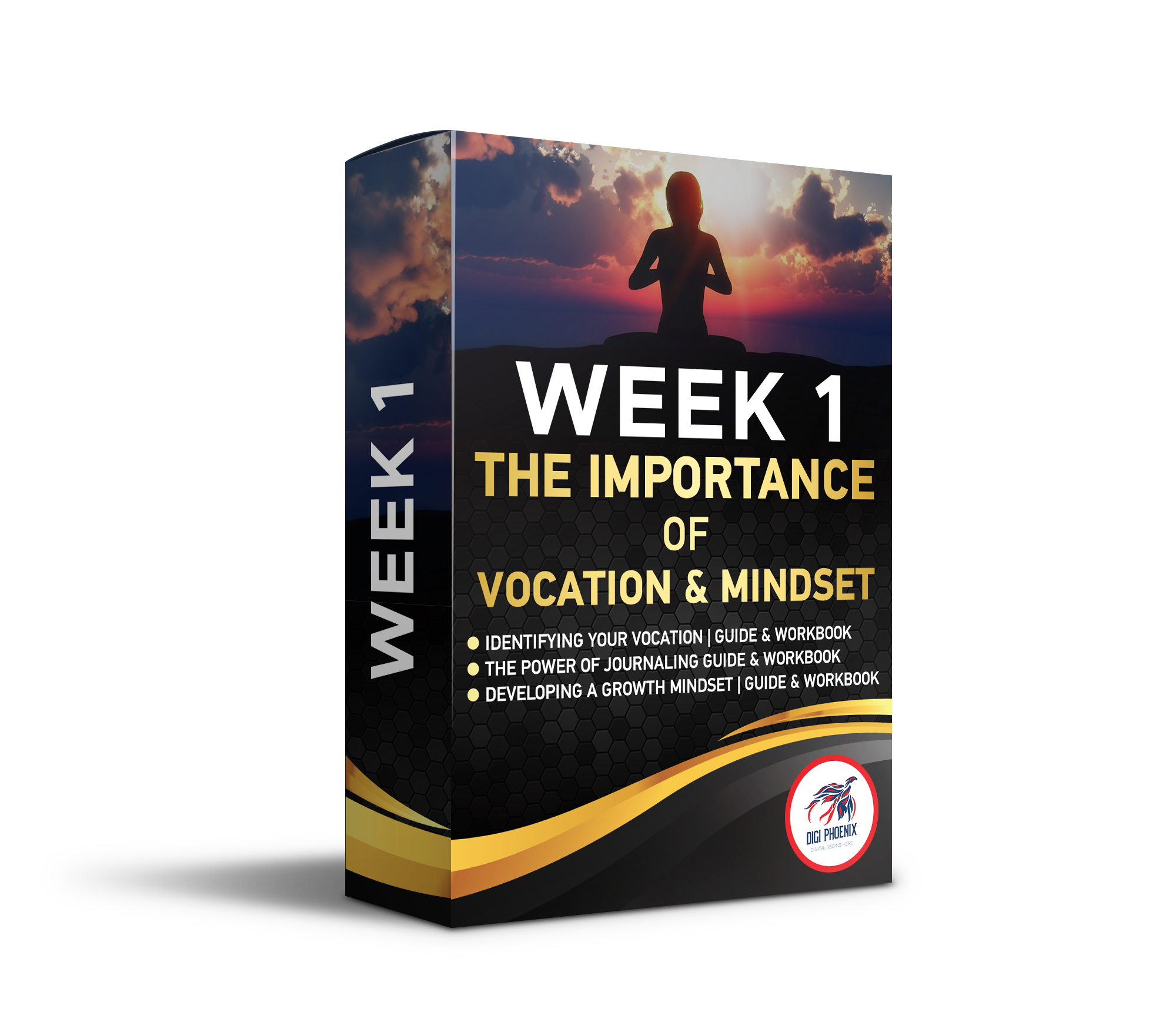 Week1 The Importance Of Vocation