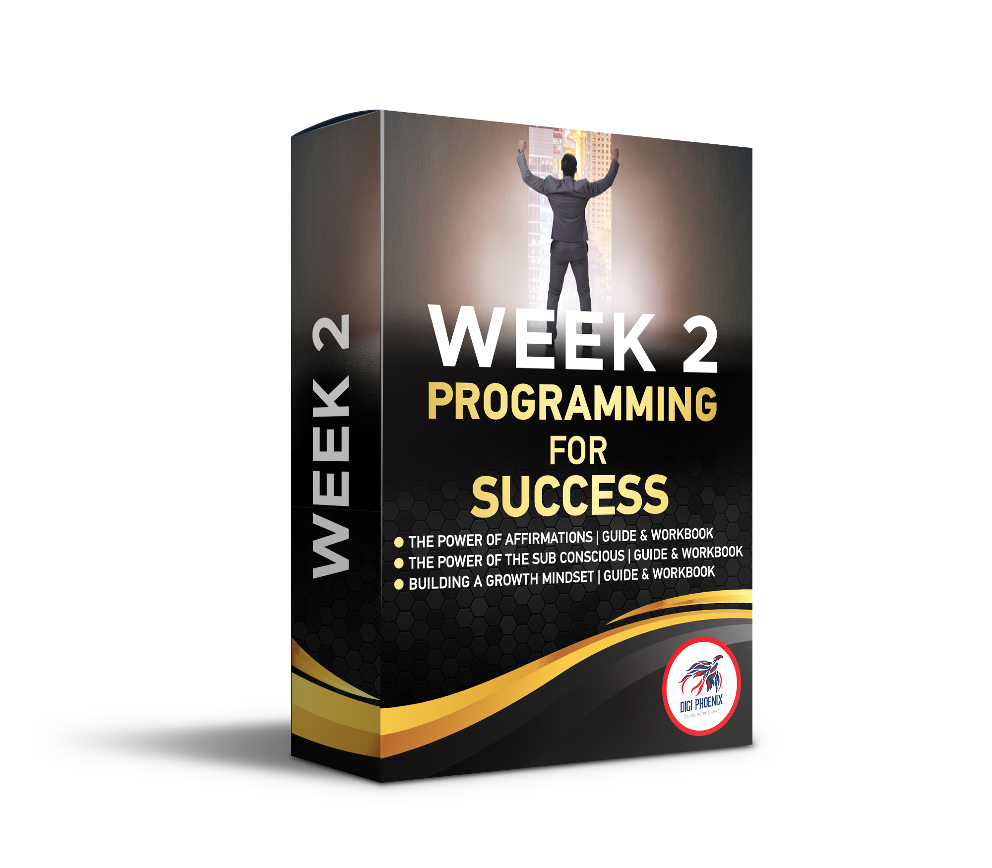 Week2 Programming For Success